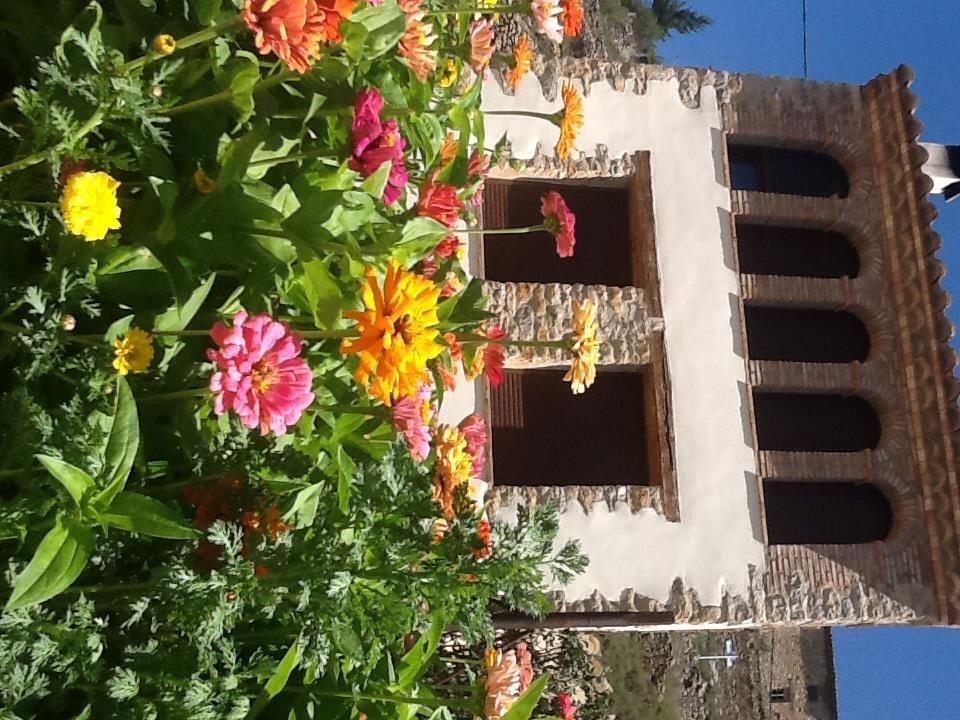 Casa Rural Caseta De L' Hort Villafranca del Cid Szoba fotó