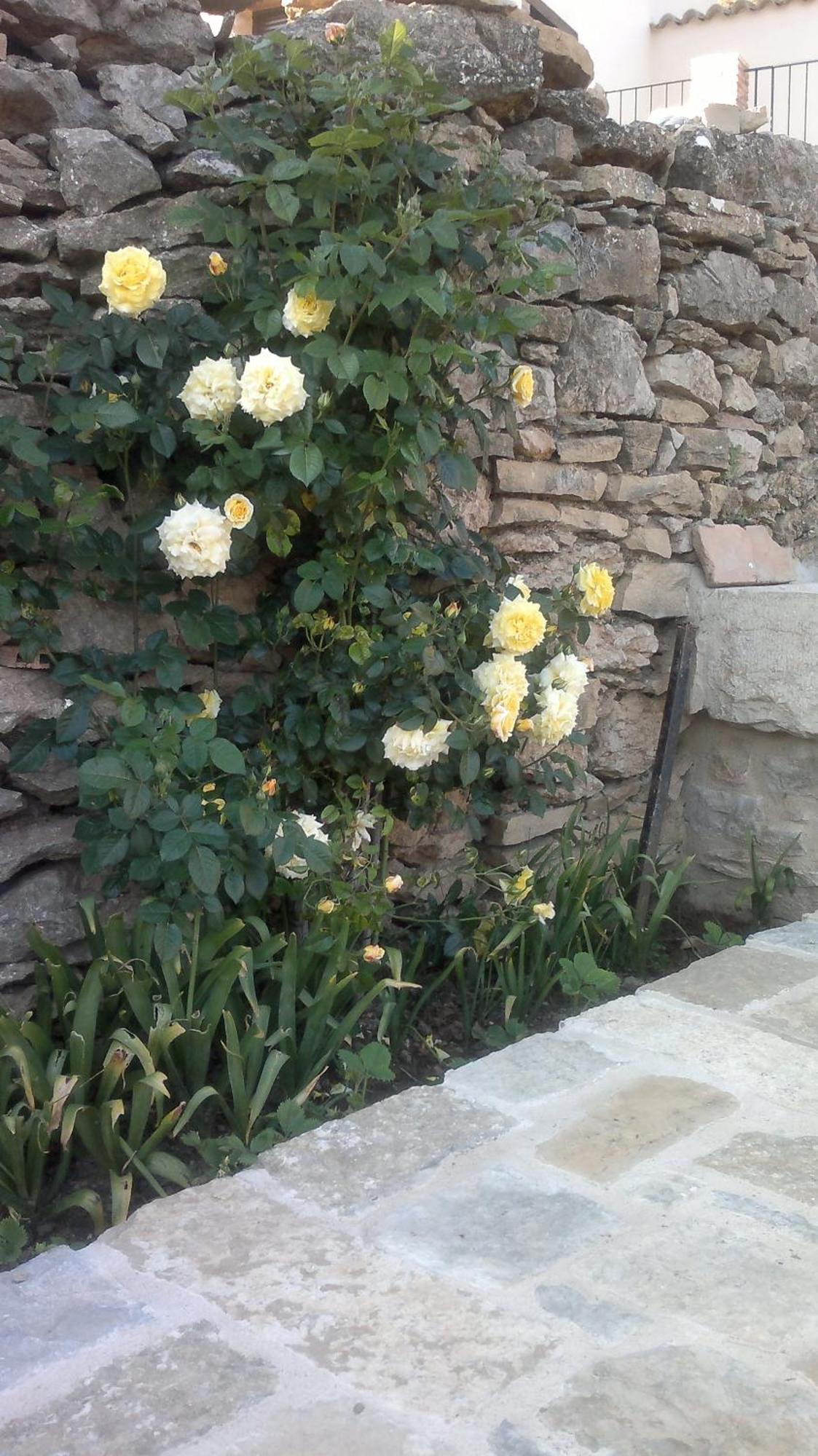 Casa Rural Caseta De L' Hort Villafranca del Cid Kültér fotó