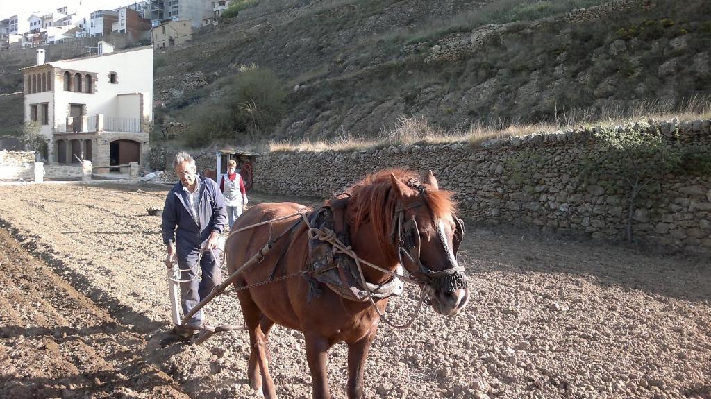 Casa Rural Caseta De L' Hort Villafranca del Cid Kültér fotó