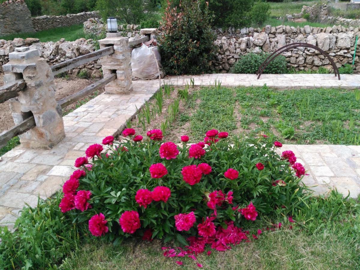 Casa Rural Caseta De L' Hort Villafranca del Cid Kültér fotó