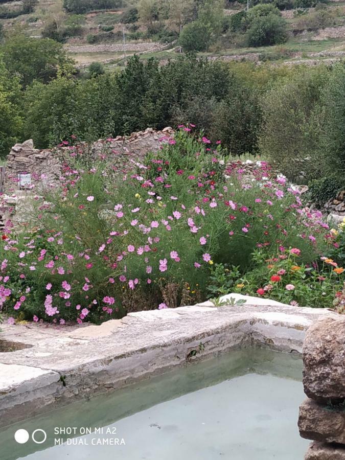 Casa Rural Caseta De L' Hort Villafranca del Cid Kültér fotó